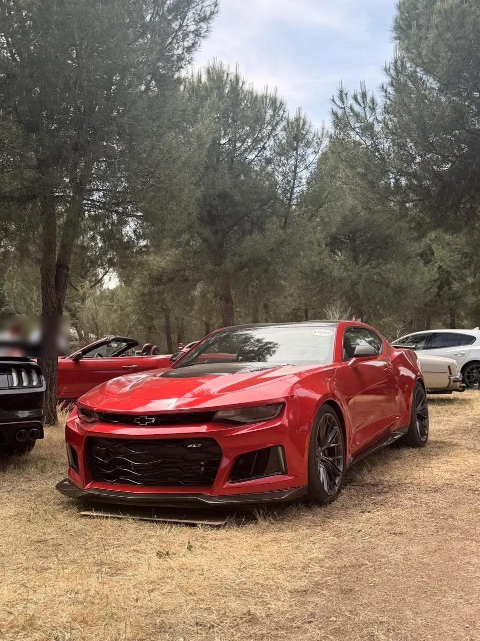 Chevrolet Camaro rojo aparcado entre pinos
