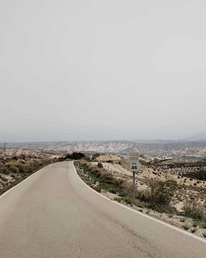 Carretera que se pierde entre árboles