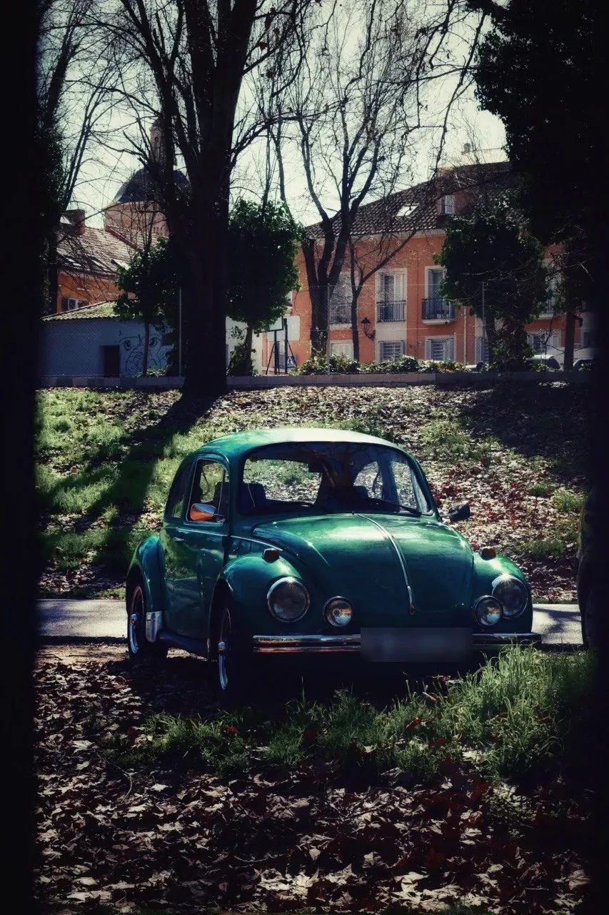 Volkswagen Escarabajo verde entre árboles