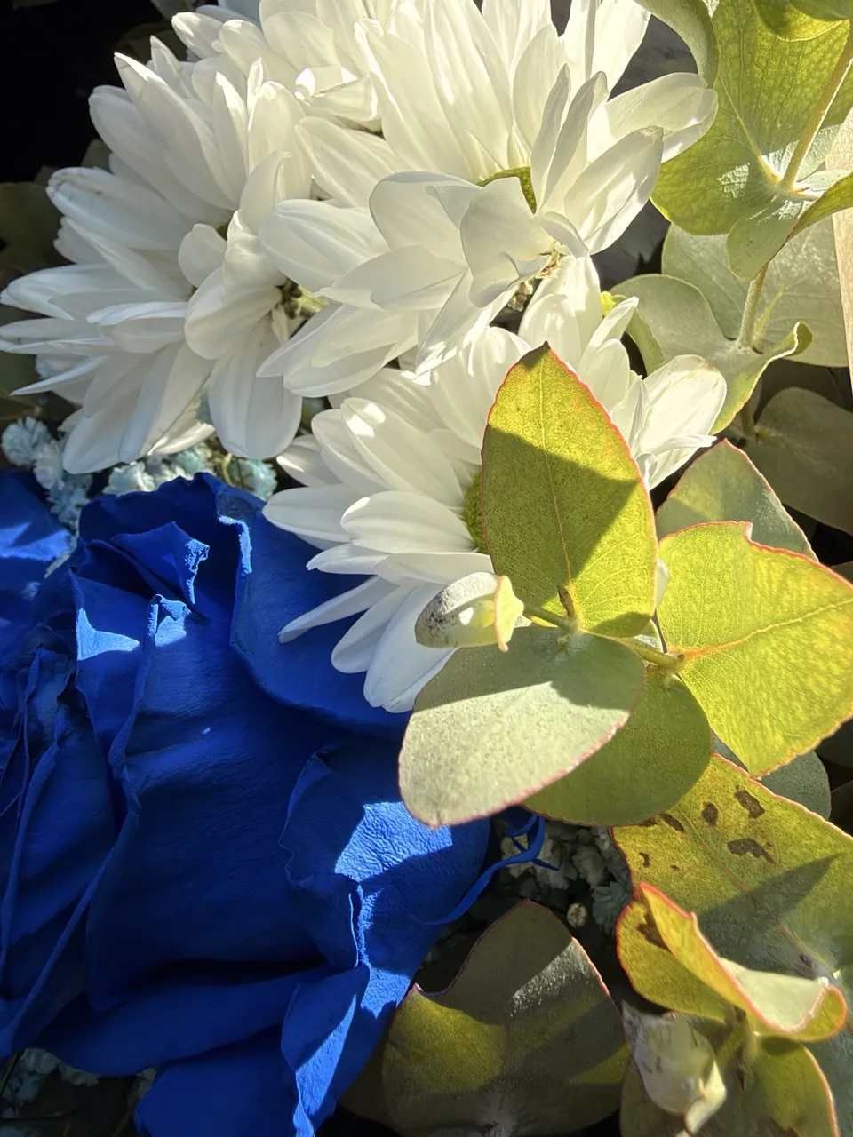 Ramo de flores blancas y azules
