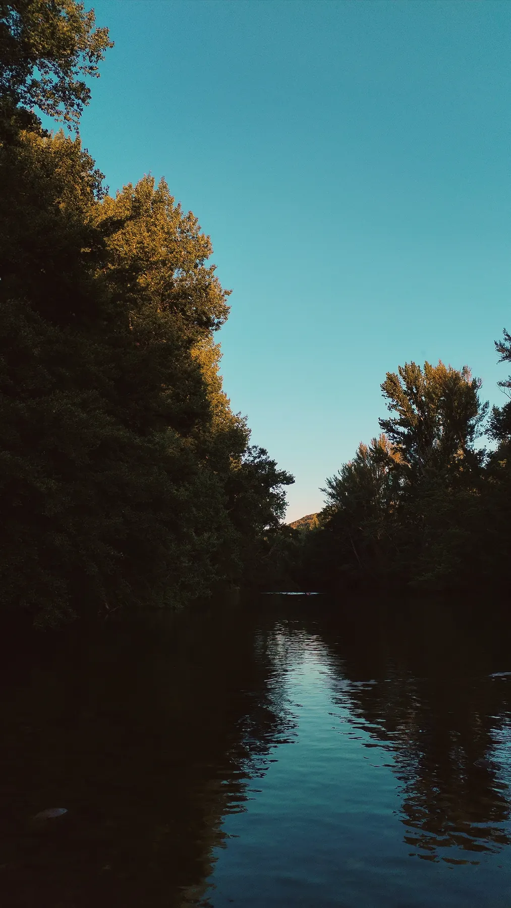 Árboles reflejados en un río