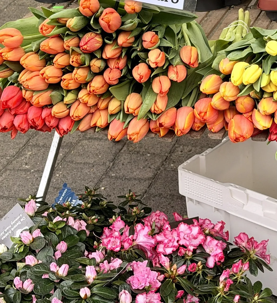 Tulipanes naranjas y rosas en un puesto de flores