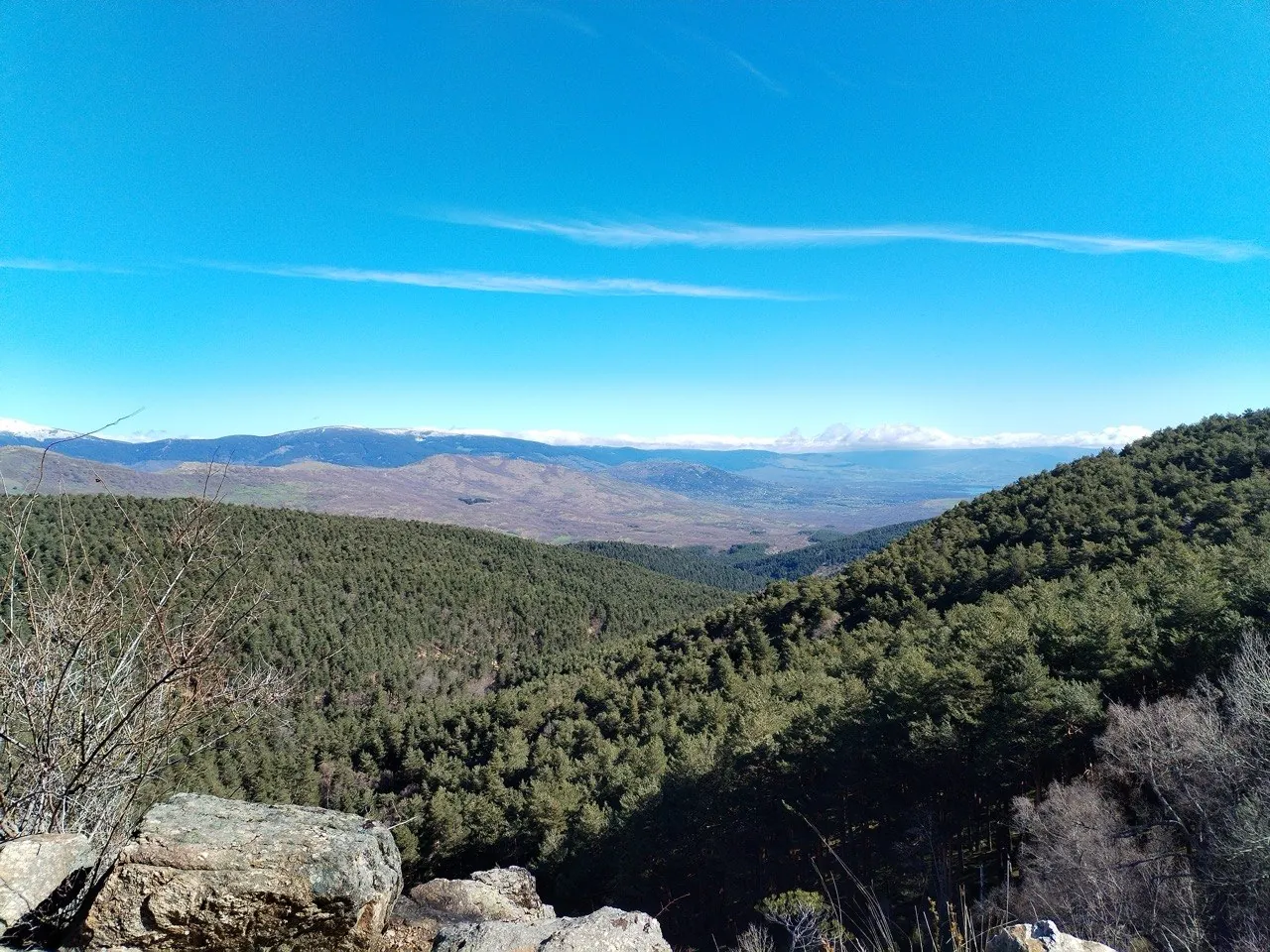 Valle de montes cubiertos de pinos bajo un cielo azul